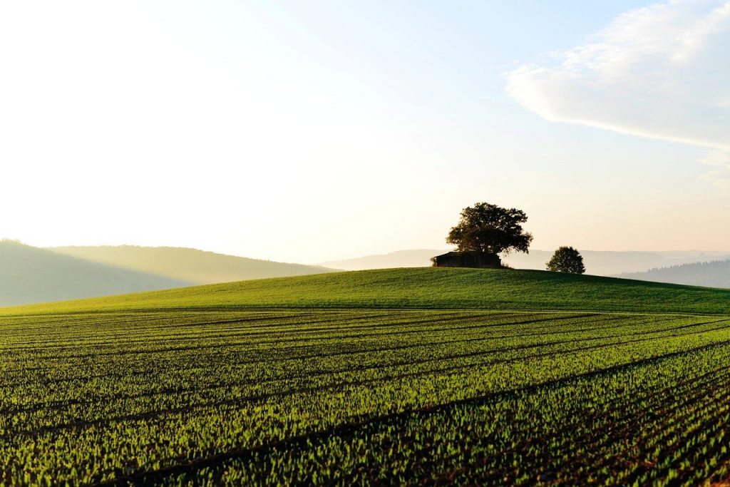 getting a loan for land