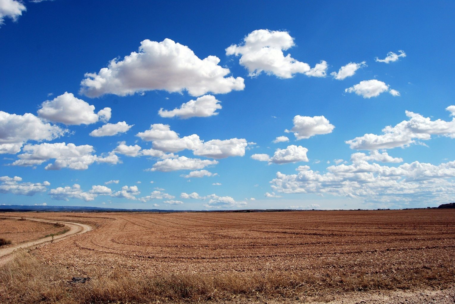 How Big Is An Acre of Land? - UpNest
